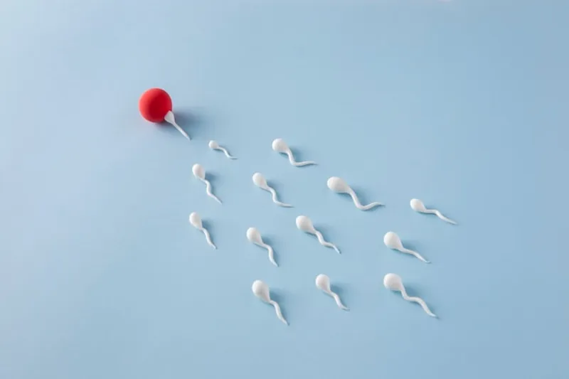 Embryo-Implantationen können aus verschiedenen Gründen scheitern – die wichtigsten Ursachen