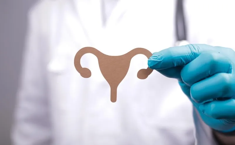 Endometriumkonditionierung bei der Implantation – wichtige Faktoren und Bedeutung